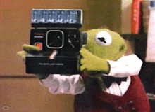 Muppetwiki muppet wiki
