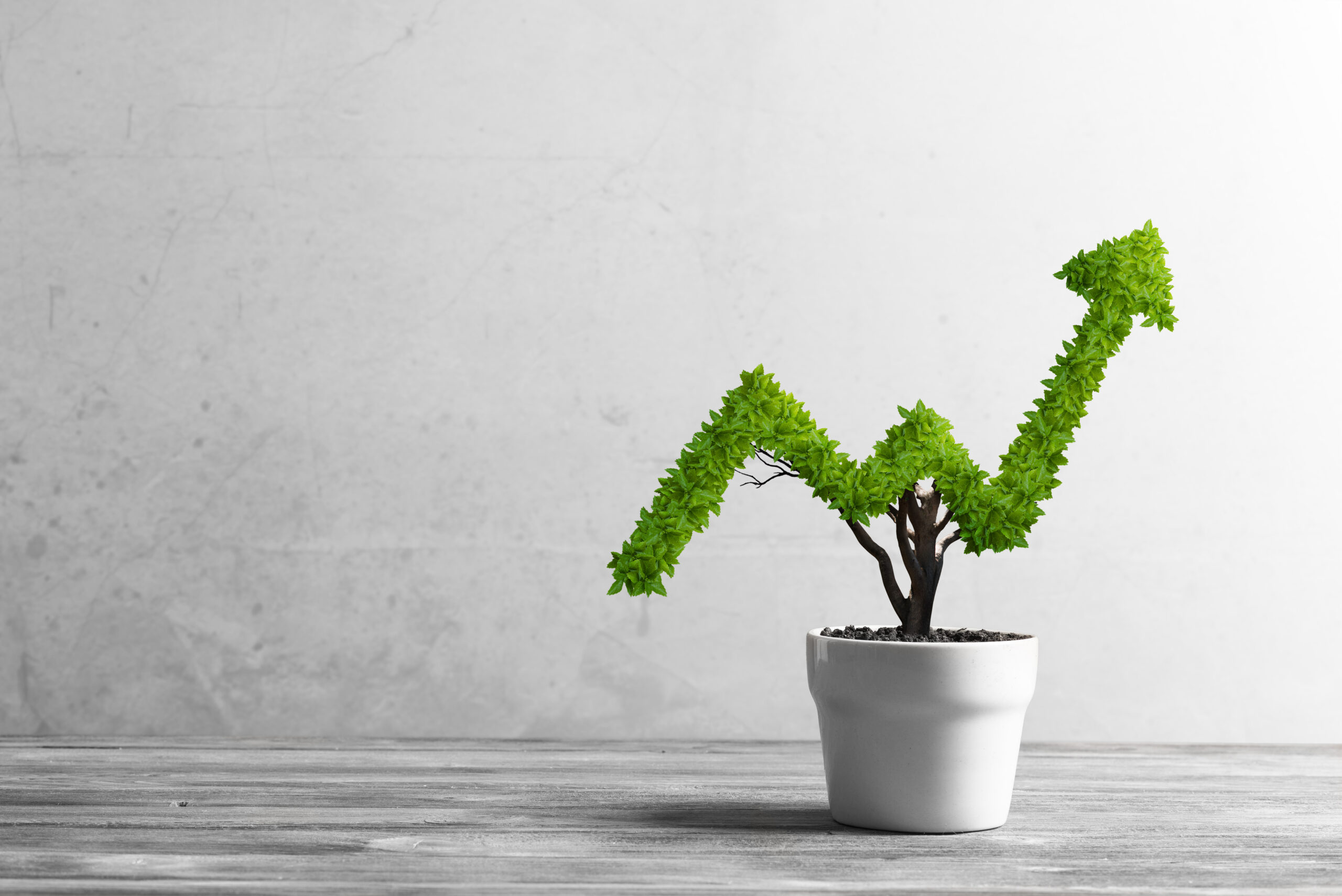 What Is Sustainable Digital Marketing And How To Use It